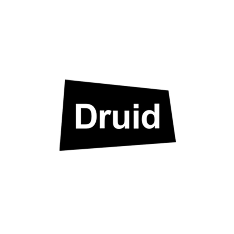 Druid Software Logo